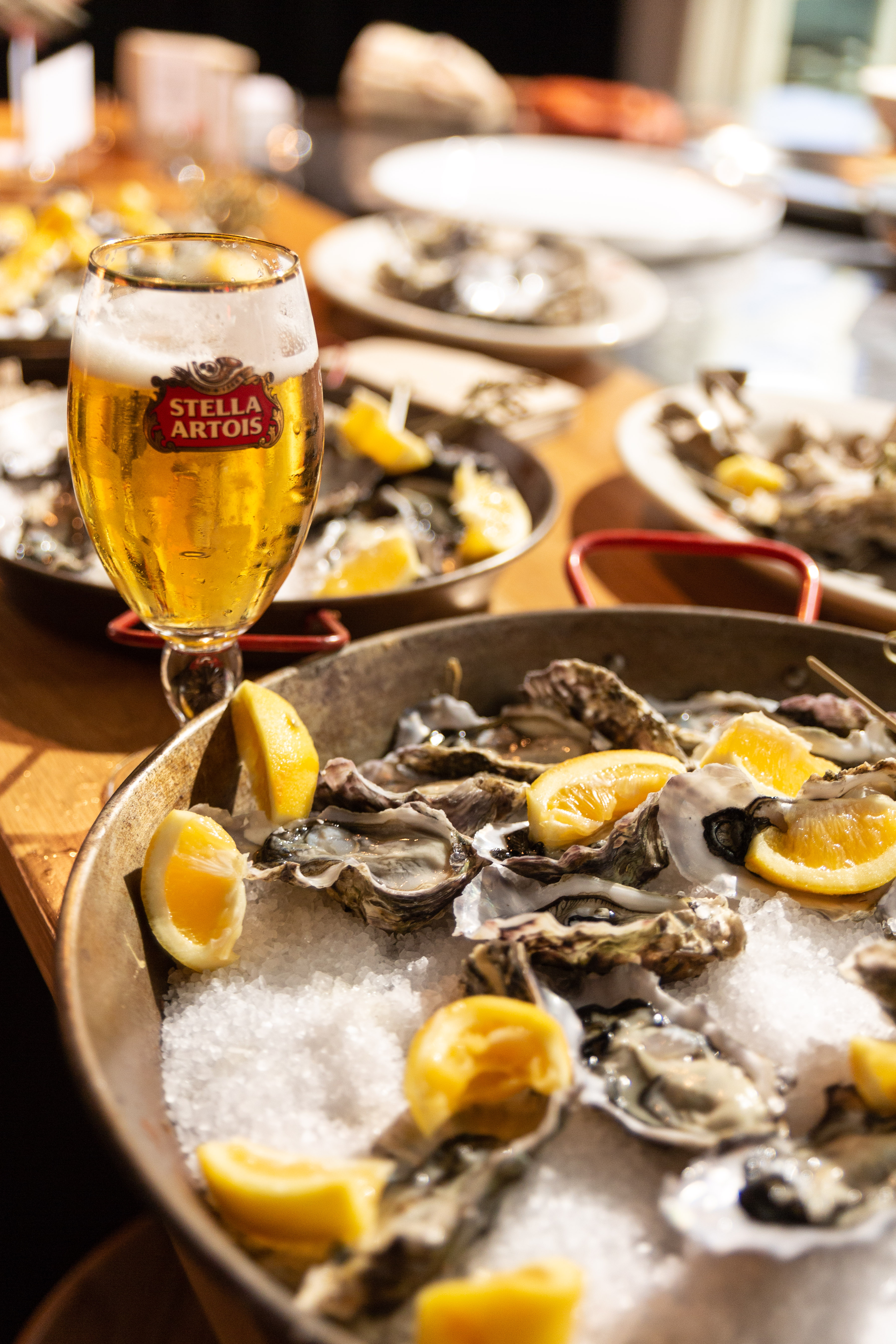 Draught Masters Stella Artois 10