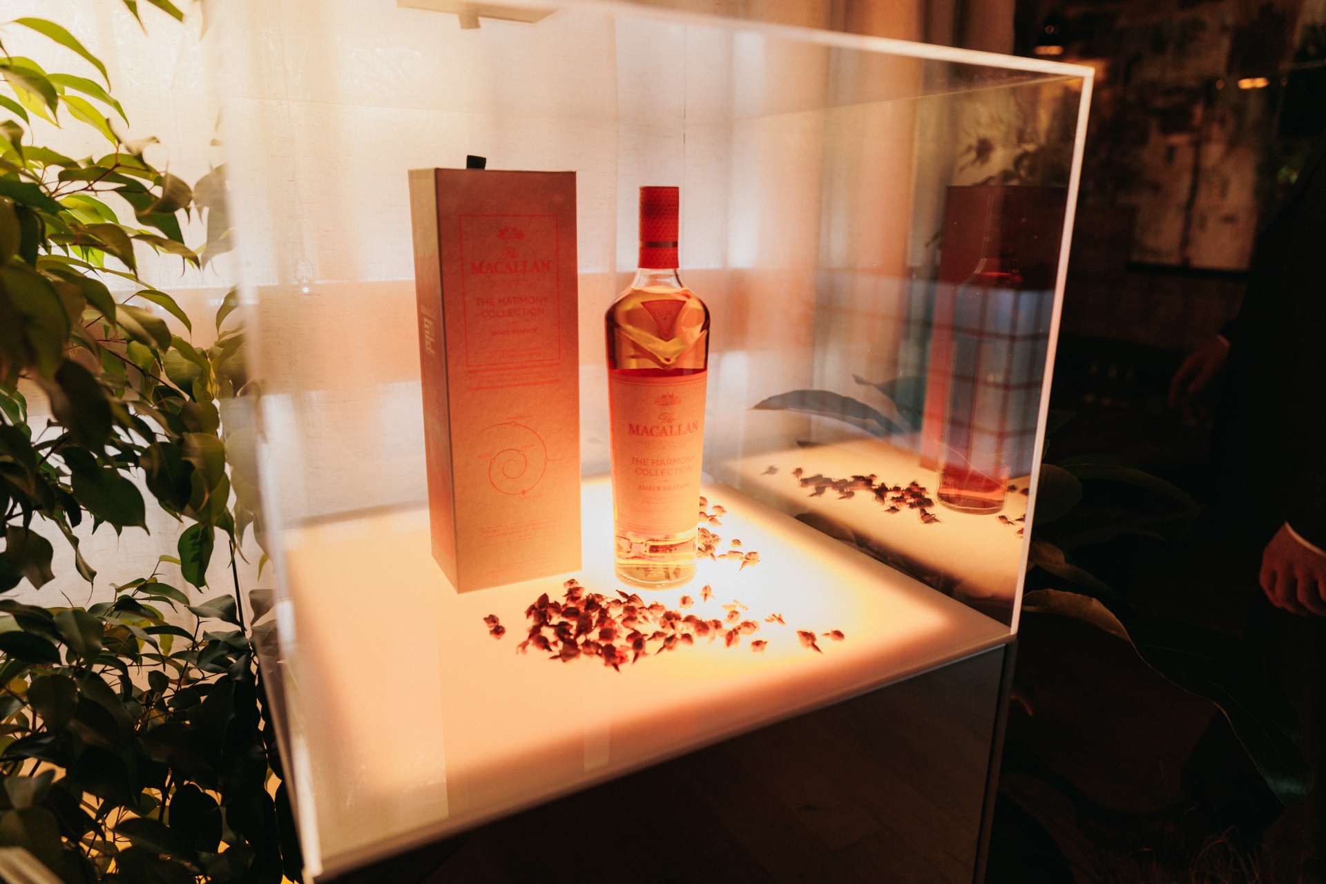 THE MACALLAN HARMONY PANACEA 27