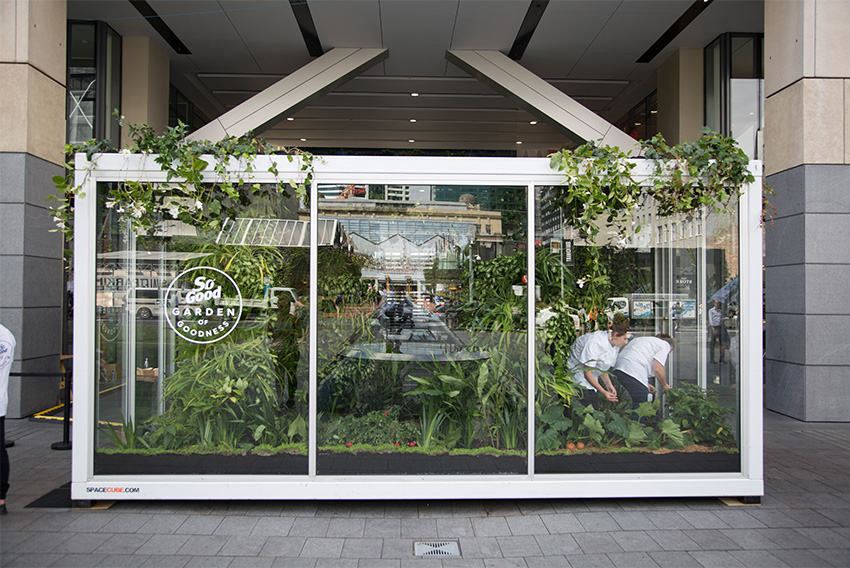 So good Garden of Goodness