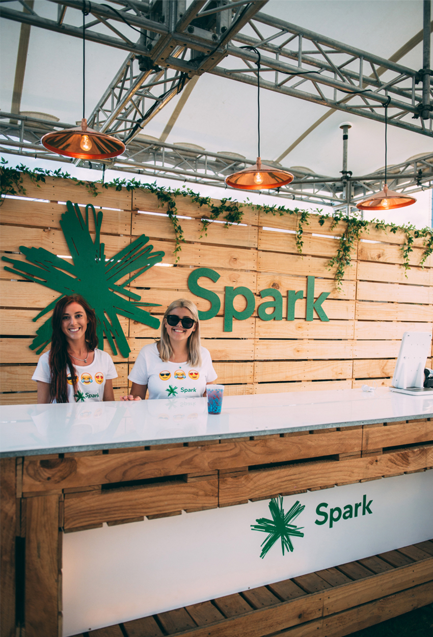 SPARK VIP